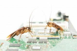 bugs in a computer - malware